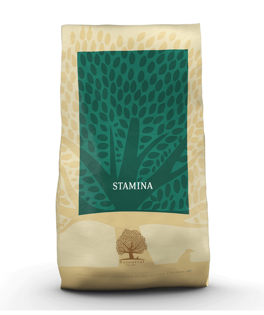 ESSENTIAL STAMINA DUŻE RASY 10KG