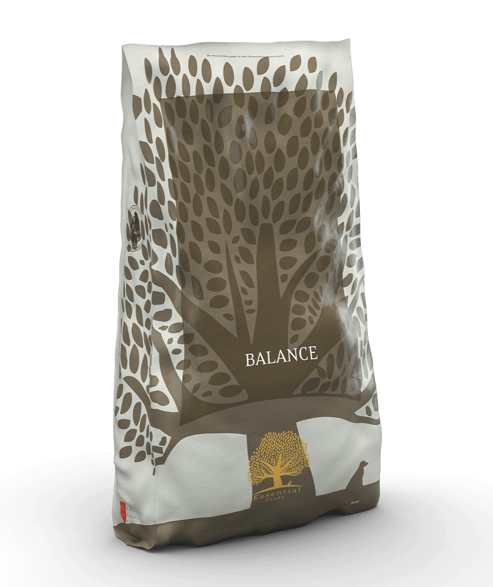 ESSENTIAL BALANCE DUŻE RASY 10KG